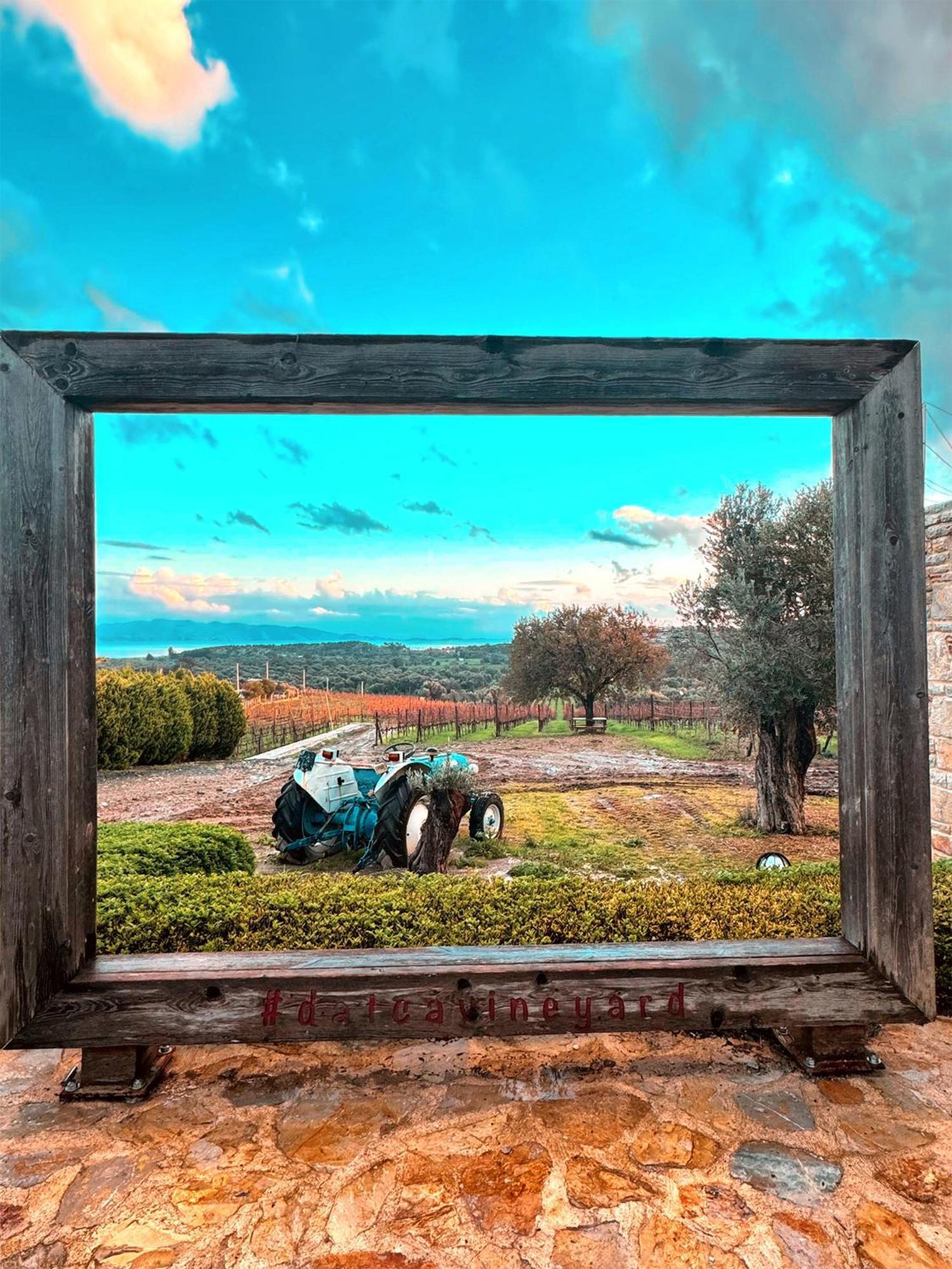 Datca Vineyard Guesthouse 외부 사진