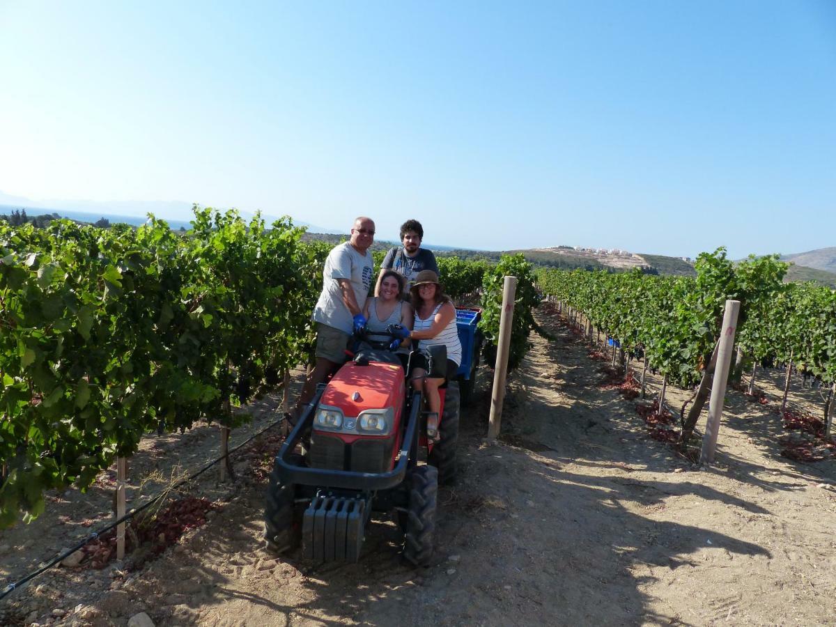 Datca Vineyard Guesthouse 외부 사진