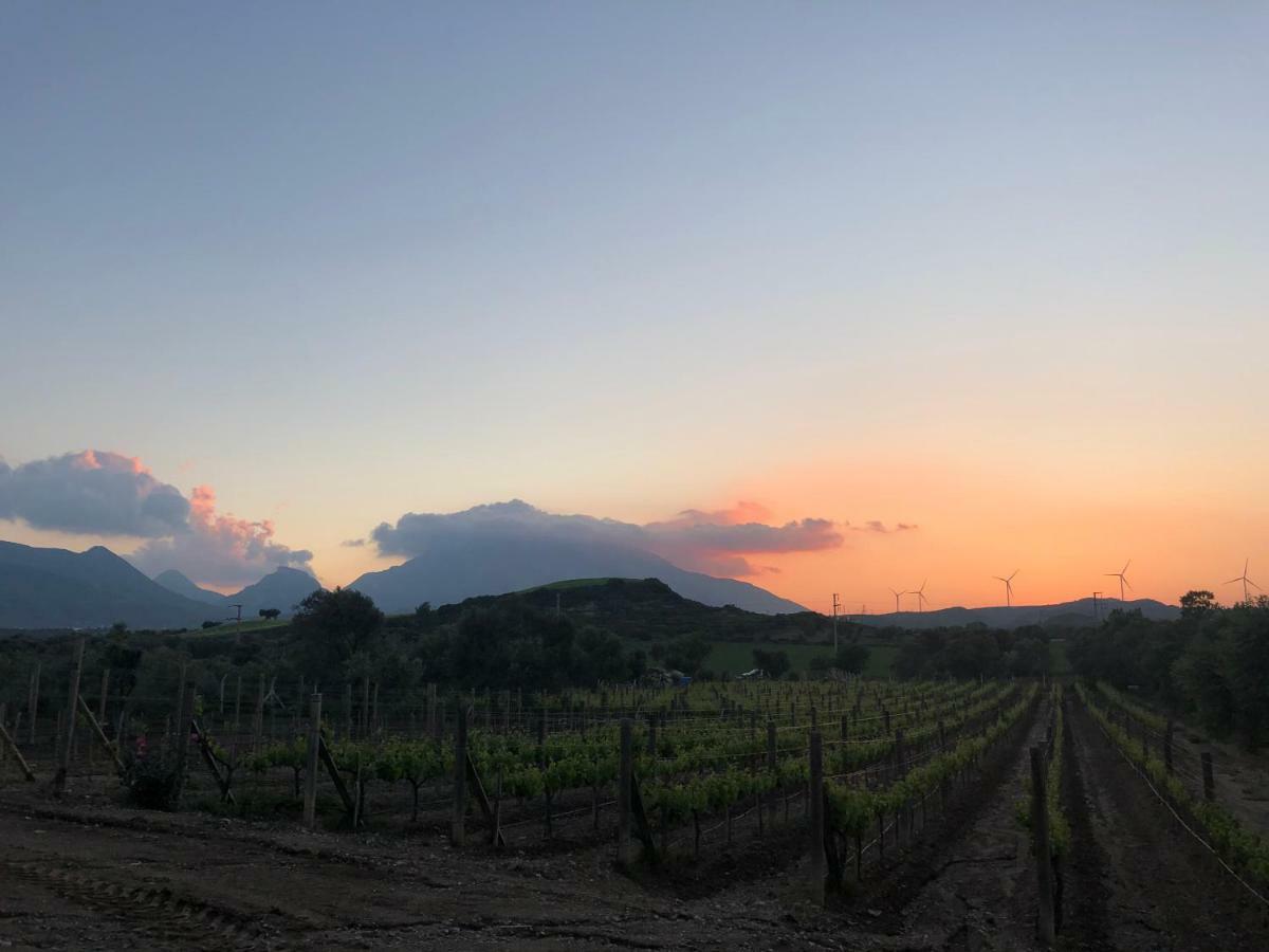 Datca Vineyard Guesthouse 외부 사진